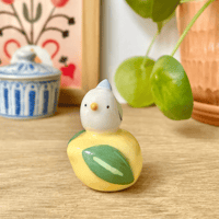 Image 5 of mini canard sur le citron