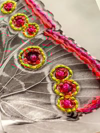 Image 2 of Butterfly 