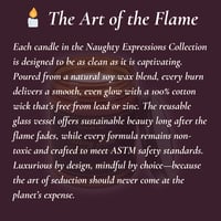 Image 7 of Holiday Heat Luxe:  9oz. Candle Collection