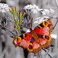 Image 1 of Butterfly 2