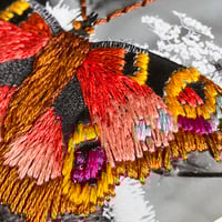 Image 2 of Butterfly 2