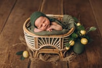 Image 1 of Lush Crib in 2 colors