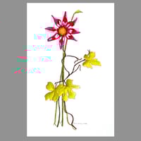 Image 1 of Floral minamalist fine art watercolor painting