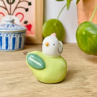 Image 4 of mini canard sur la poire