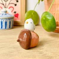 Image 1 of mini canard sur le gland