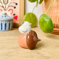 Image 4 of mini canard sur le gland