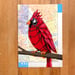 Image of Fancy Cardinal / unframed original painting