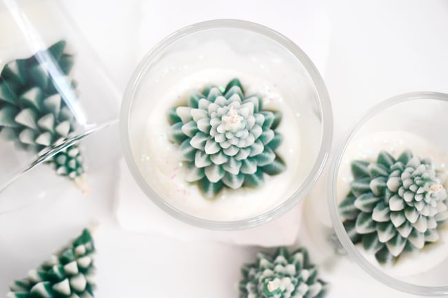 DUO Bougie Sous les pins