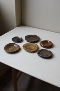 Image 4 of assiette dome 