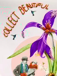 Image 2 of Collect beautiful Memories