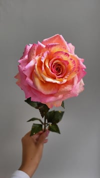 Image 3 of Handcrafted Paper Rose - Tutti Frutti