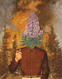 Image 1 of "Fireweed" Fine Art Print 