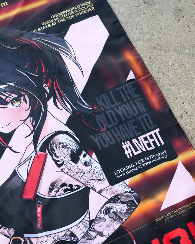 Image of Hellsent Global Gym Flag