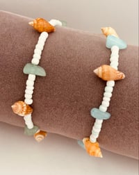 Image 3 of Seashell Symphony (two color choices)