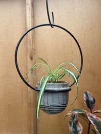 Image 1 of hanging big loop