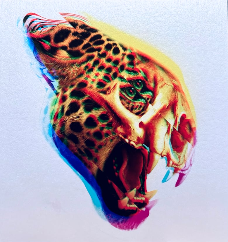 Image of Jaguar