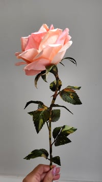 Image 3 of Handcrafted Peach Rose - Coral Breeze