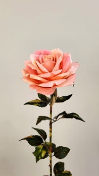 Image 4 of Handcrafted Peach Rose - Coral Breeze