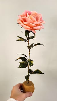 Image 5 of Handcrafted Peach Rose - Coral Breeze