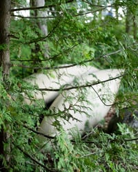 Kayaks on the Lake / 16x20" Limited Print