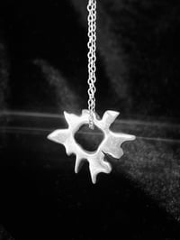 Image 1 of Septerian Pendent I