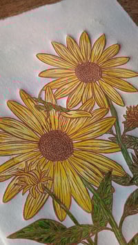 Image 4 of Sunflowers Print
