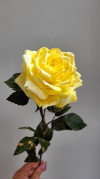 Image 2 of Handcrafted Paper Rose - Honeydew