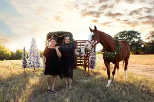 Image of COUNTRY CHRISTMAS TRAILER SUPERMINIS 2025