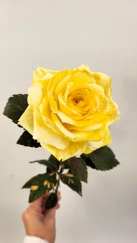 Image 5 of Handcrafted Paper Rose - Honeydew