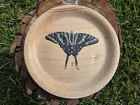 Zebra Butterfly plate