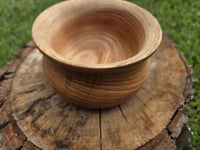 Honey Locust bowl