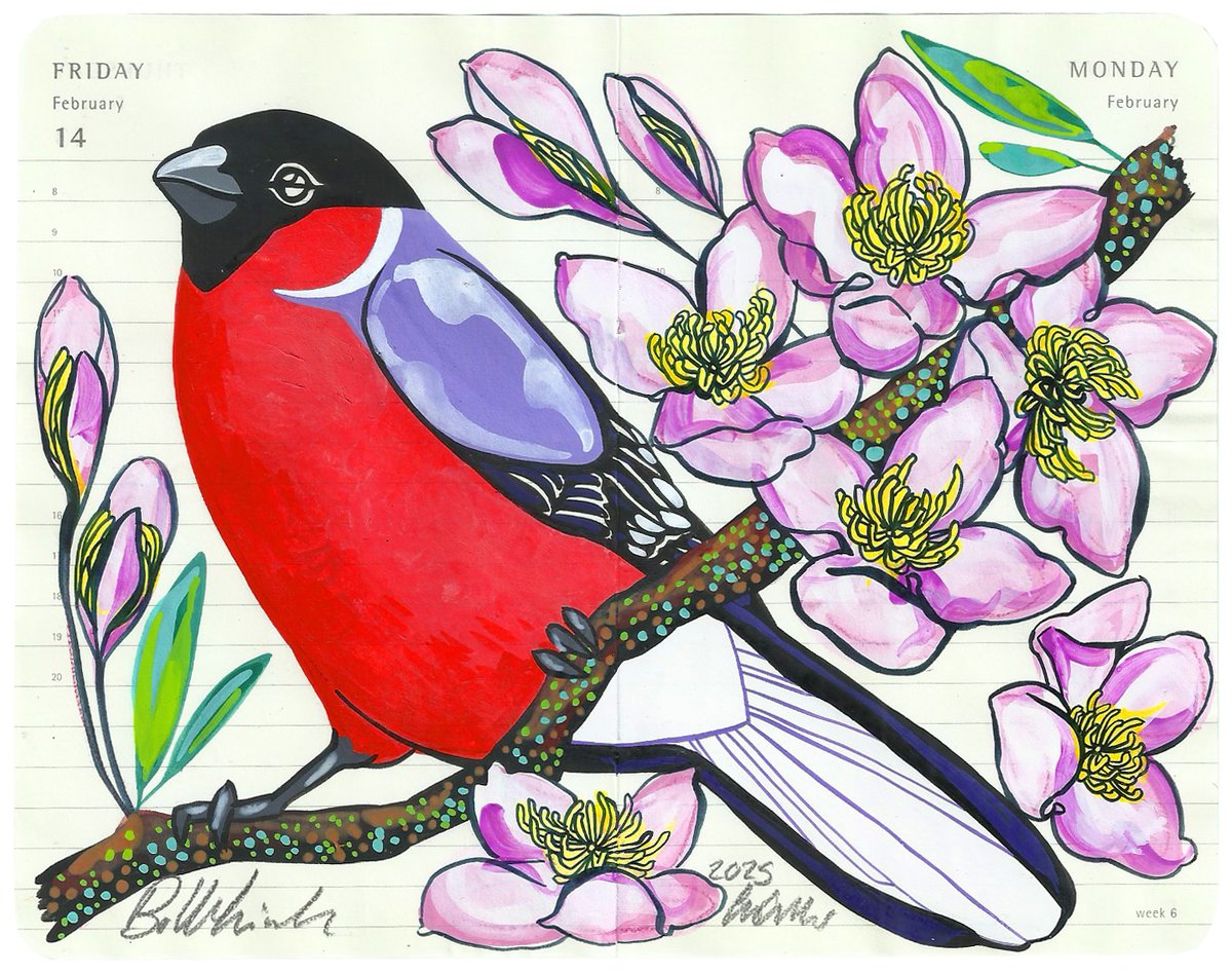 Image of Bullfinch