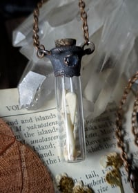 Image 3 of Glass Vial Bone Necklace