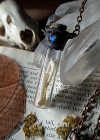 Image 5 of Glass Vial Bone Necklace