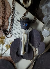 Image 4 of Glass Vial Bone Necklace