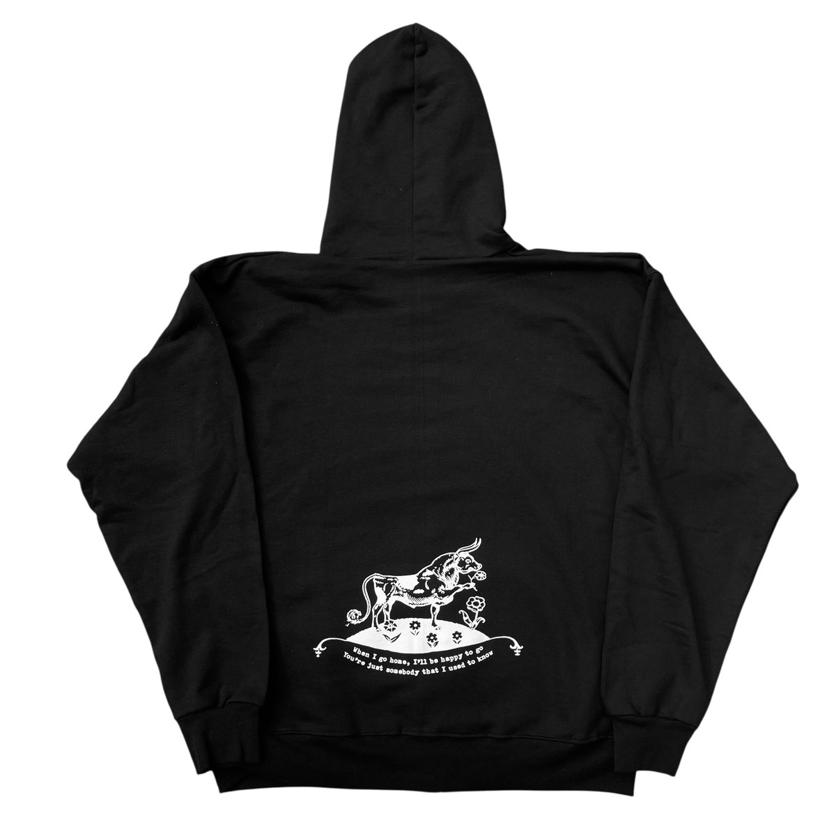 Image of SOMEBODY THAT I USED TO KNOW (HOODIE)