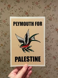 Palestine Swallow
