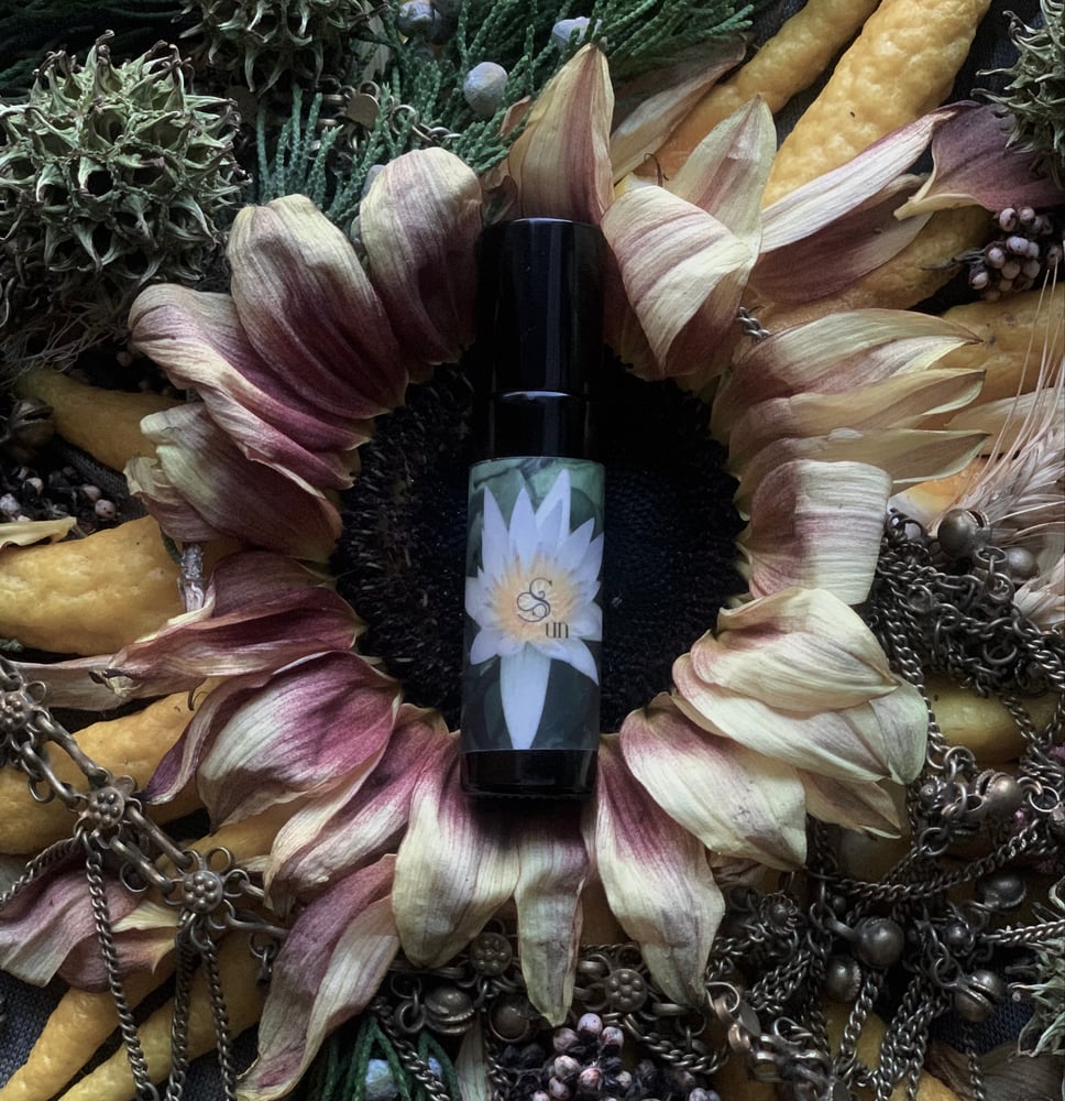 Image of Solar Anointing Oil  (Tangerine, Amber, Frankincense)