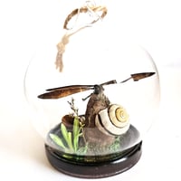 Image 2 of Vestalis Melania Damselfly Mini Woodland Hanging Globe