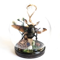 Image 1 of Tropical Carpenter Bee Mini Woodland Hanging Globe