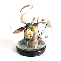 Image 2 of Tropical Carpenter Bee Mini Woodland Hanging Globe