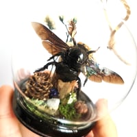 Image 3 of Tropical Carpenter Bee Mini Woodland Hanging Globe