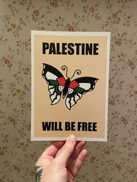 Palestine Butterfly