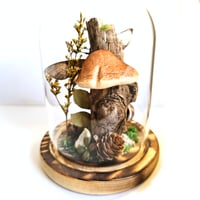 Image 2 of Death's-Head Hawkmoth Woodland Belljar