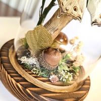 Image 4 of Forest Mother-Of-Pearl Butterfly Woodland Dome