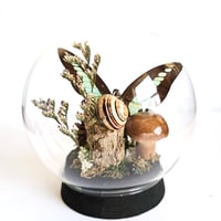 Image 2 of Common Swordtail Butterfly Woodland Cork Globe