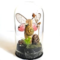 Image 2 of Blushing Phantom Butterfly Mini Woodland Cork Dome