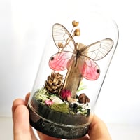Image 3 of Blushing Phantom Butterfly Mini Woodland Cork Dome
