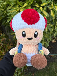 Image 2 of MUSHROOM MAN