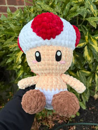 Image 5 of MUSHROOM MAN